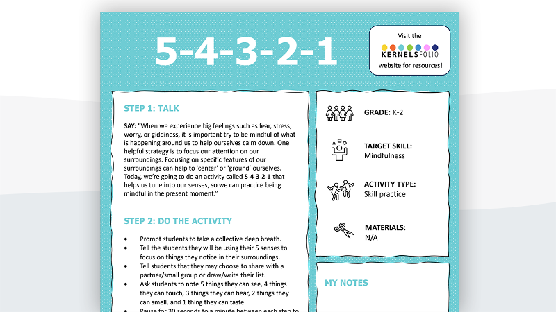 Screenshot of the Steps Overview from Kernelsfolio